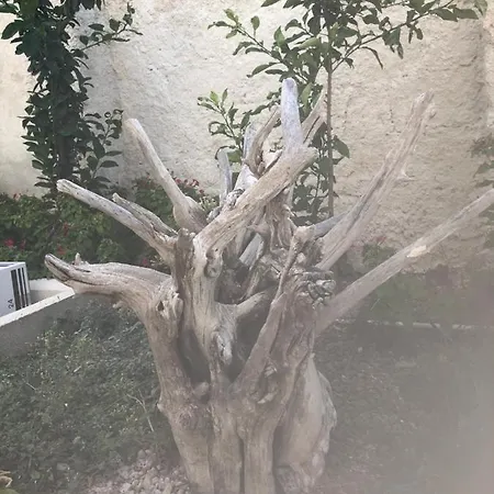 Bed & Breakfast S.anna