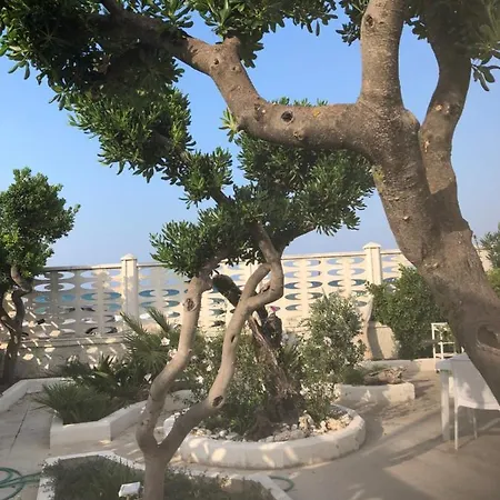 Bed & Breakfast S.anna Bari